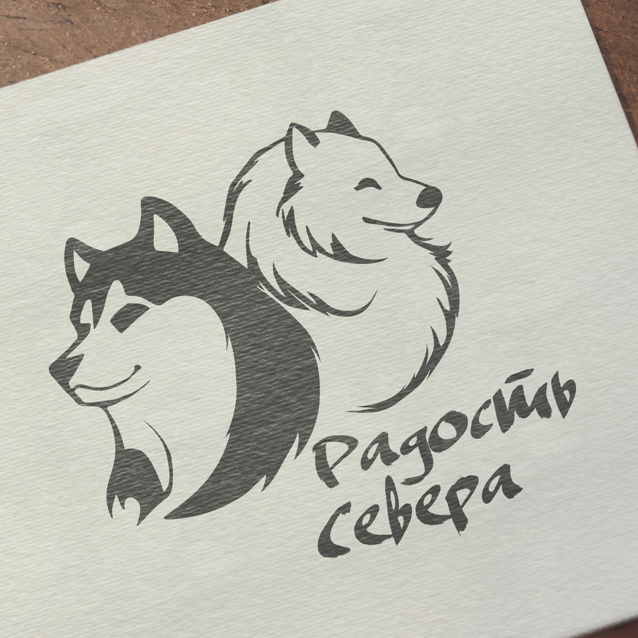 ЛОГО/галерея. • Blue Feather • фотография, графический дизайн, Комсомольск-на-Амуре