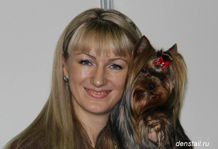 2014 г Результаты выставок. Питомник Йоркширских терьеров Дэнстайл в Санкт-Петербурге заводчик Тих