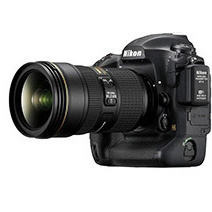 Training programs. Max Matvich and Victoria Basova are professionals in their field