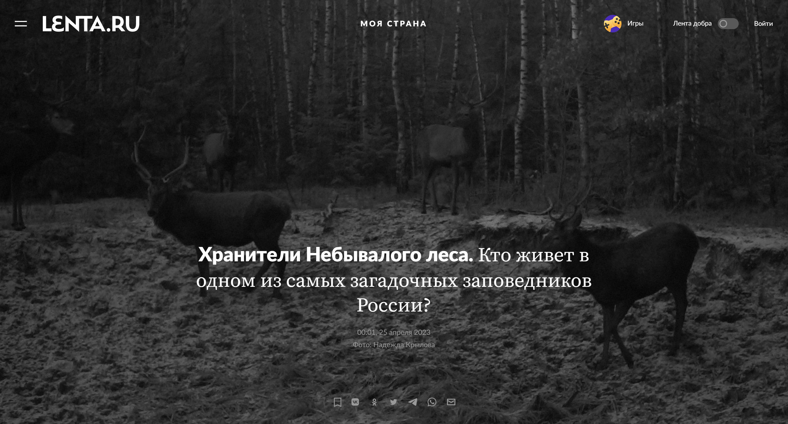 Publications. Надежда Крылова портретный фотограф документальный Санкт-Петербург