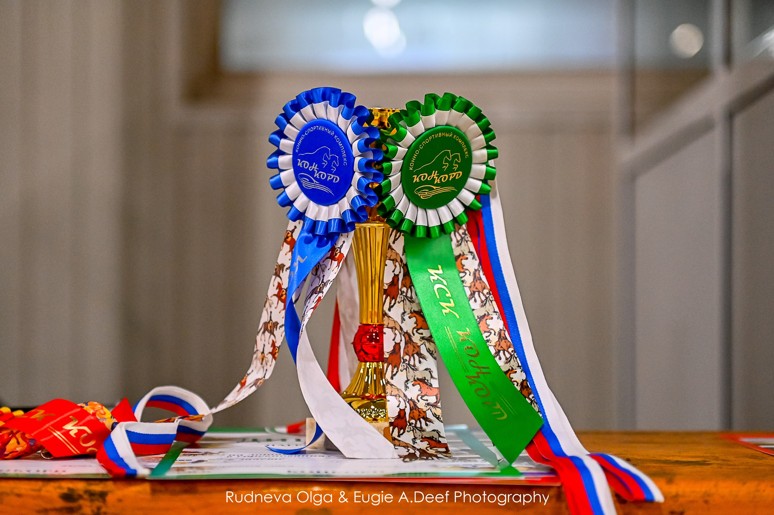 КСК_Конкорд Выездка 20-10-2024. ТУРНИРНАЯ КОННАЯ ФОТОГРАФИЯ, Руднева Ольга и Евгений Адеев