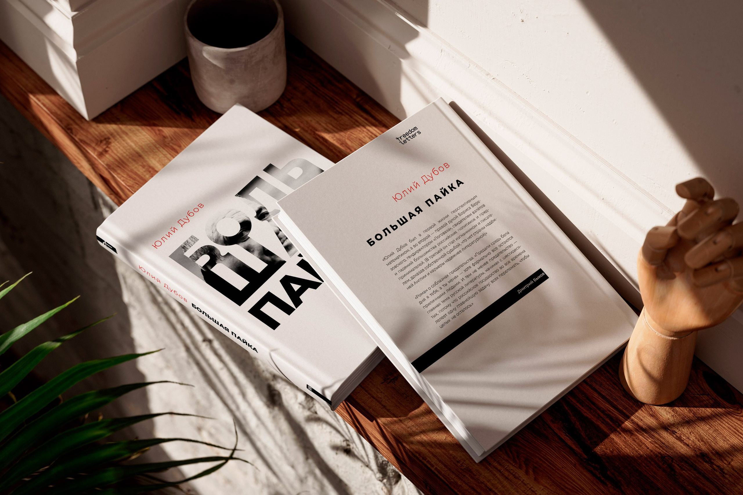 Дизайн книжных обложек. Дизайн и верстка книг