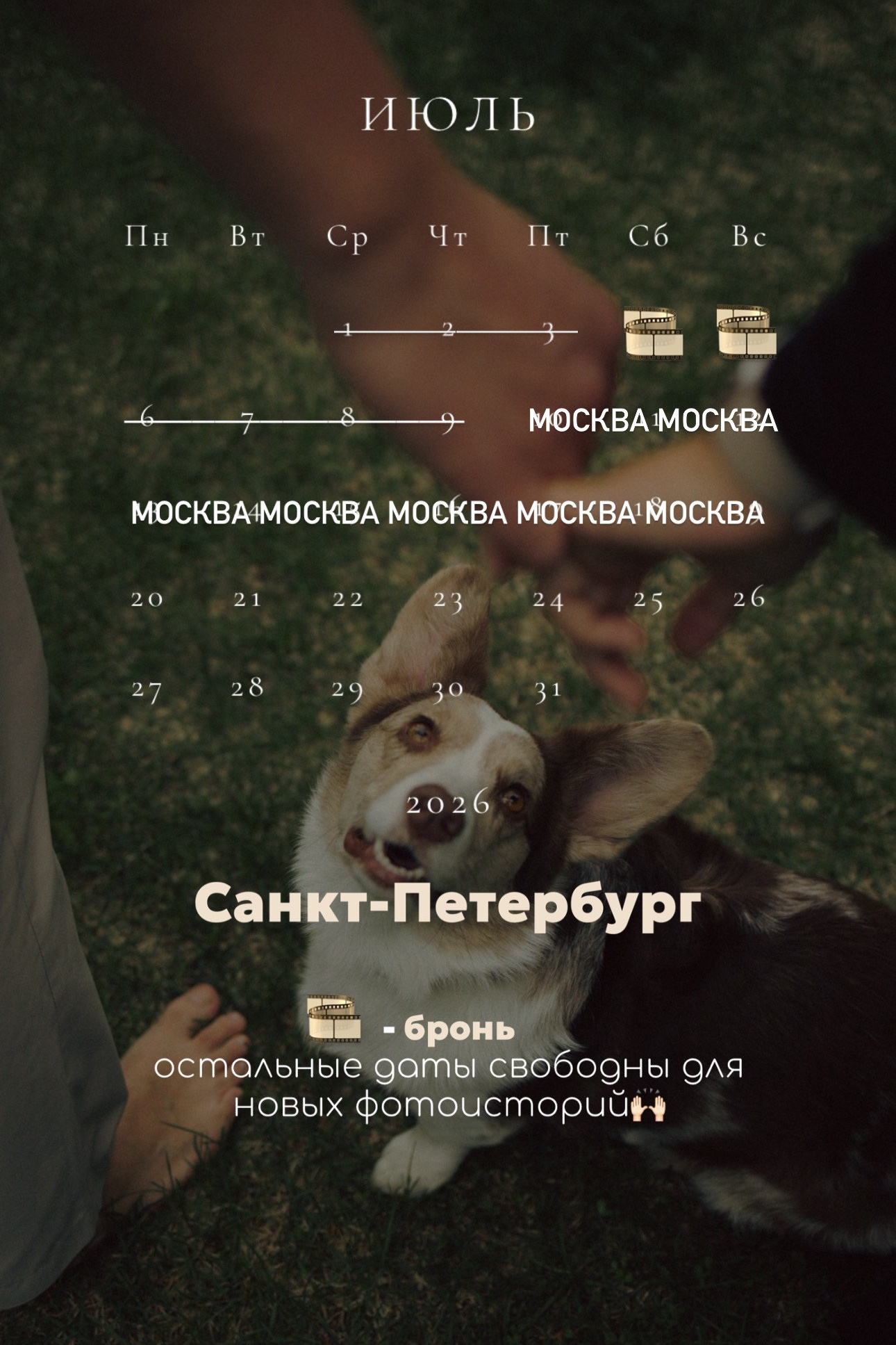 Расписание. Фотограф — Анималист | Санкт-Петербург