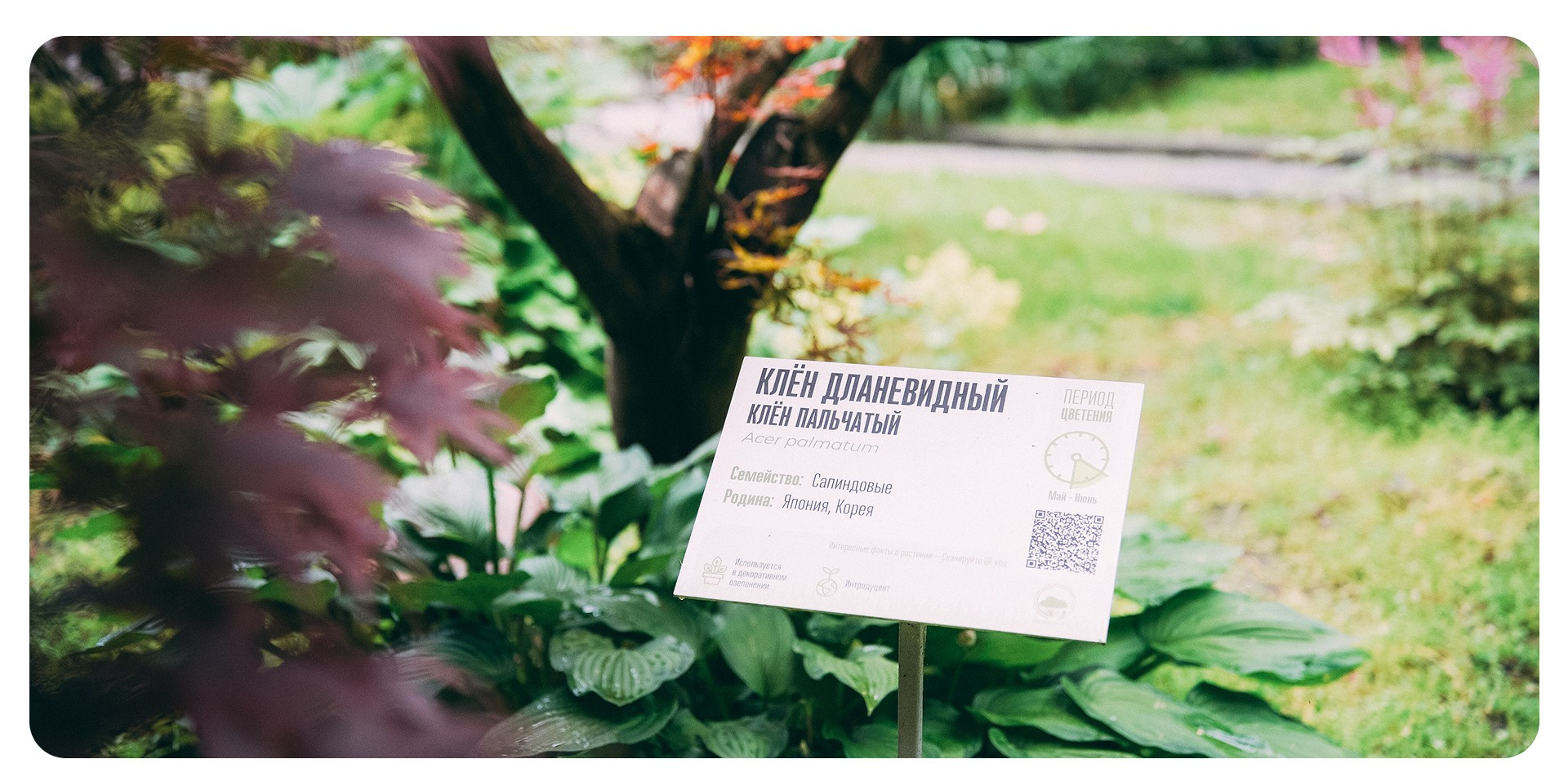 Калининград 3. Фотограф из Москвы — DASHA NOVA | Авторская фотография в разных жанрах