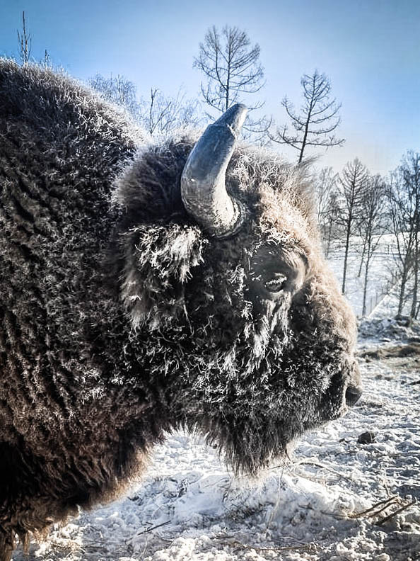 2020 — Горный Алтай. OneSnap