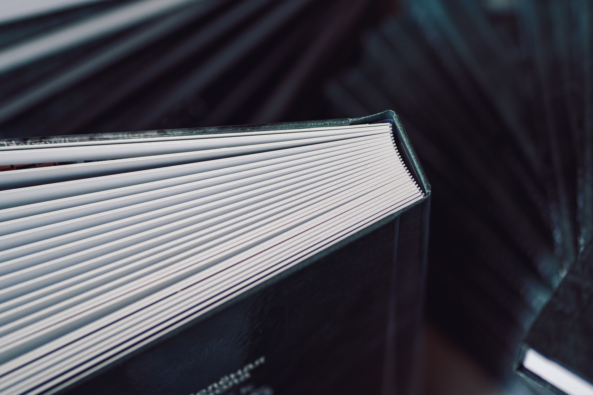 Школьные фотокниги. Семейный и детский фотограф в Омск Пугачева Елена