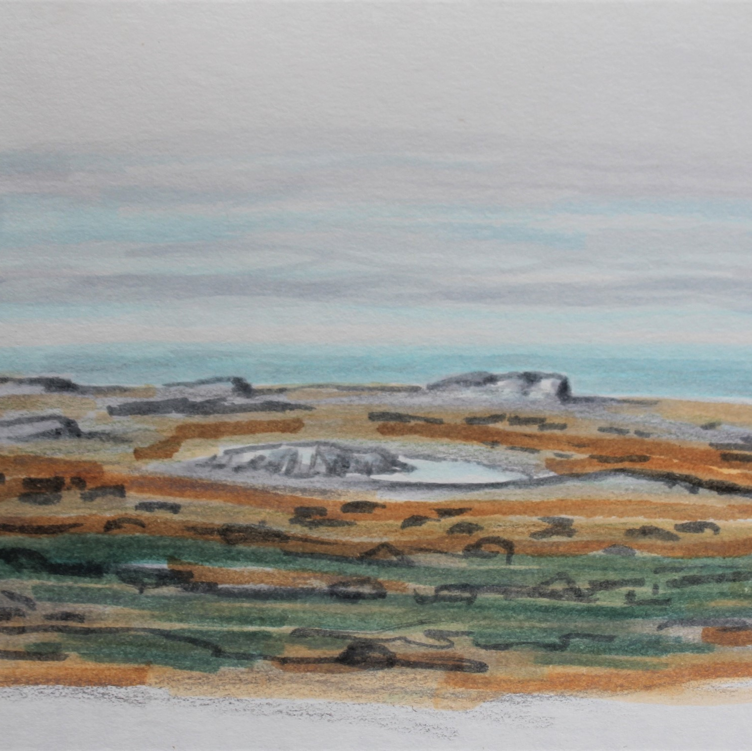 Записки полярницы (художницы). Xexexena.ru