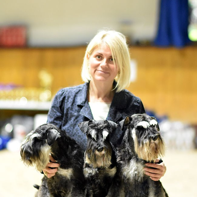 Питомник цвергшнауцеров Беларусь, щенки цвергшнауцера, куплю щенка цвергшнауцера, цвергшнауцер