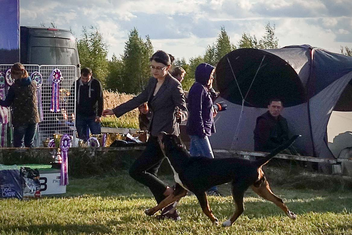Серпухов «Подмосковные вечера»