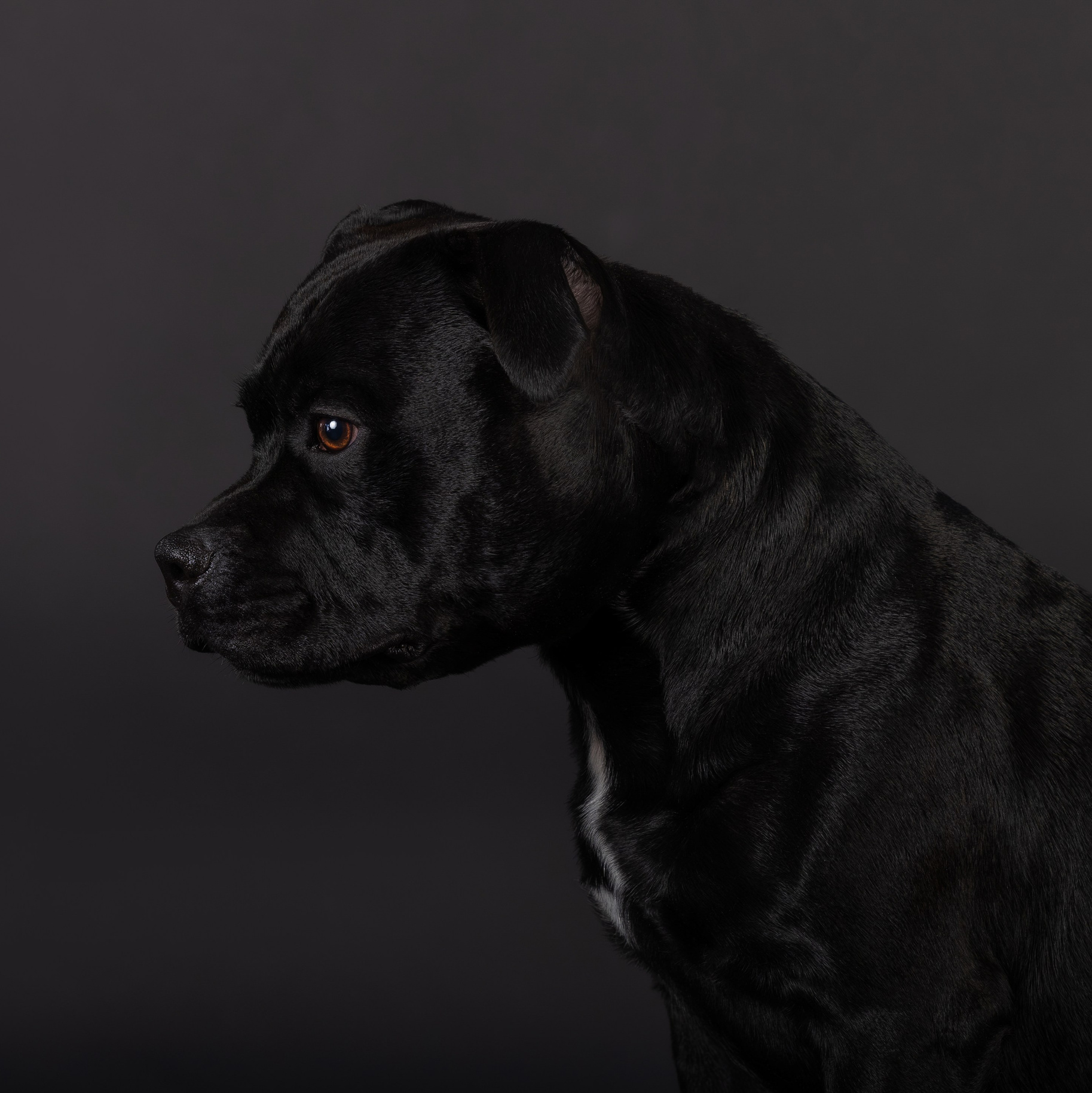 Услуги. Главная