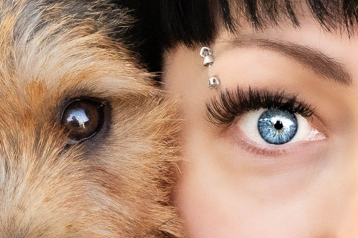 Фотограф-АниМалист Анна Абрамова