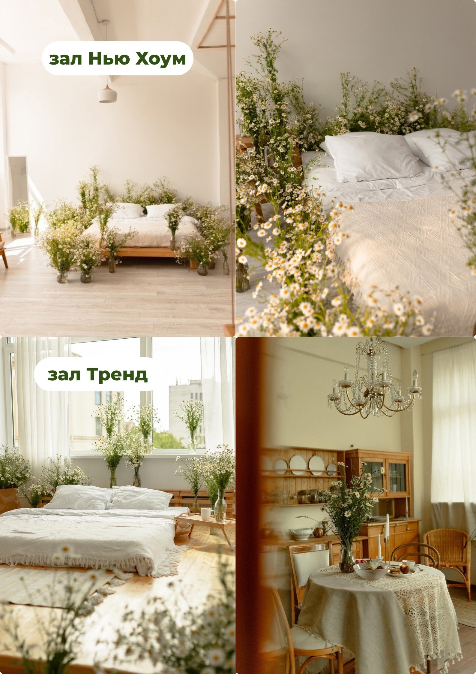 Рекомендации по образам на фотосессию с ромашками. Фотограф в Санкт-Петербурге, Анна Скворцова