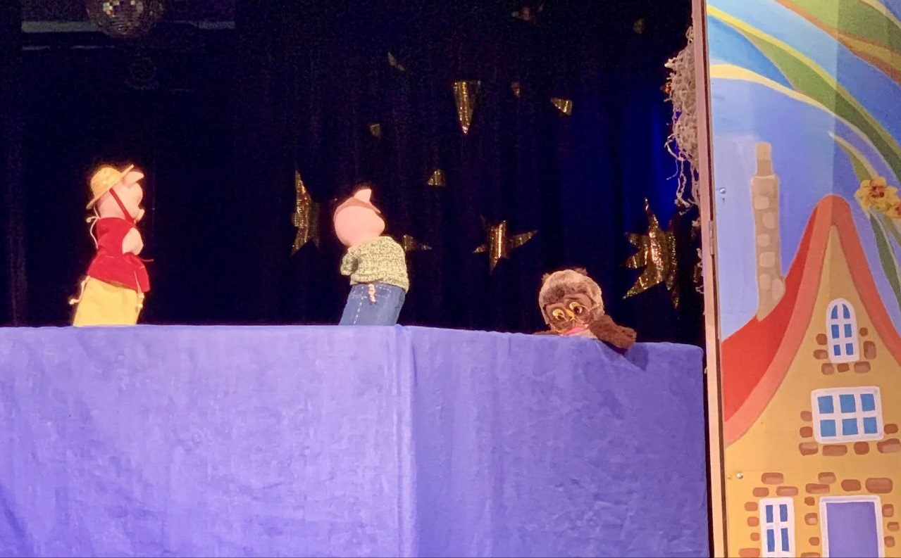 Талантливая Лиза. АНО «Центра социальных проектов «Путь в большой мир»