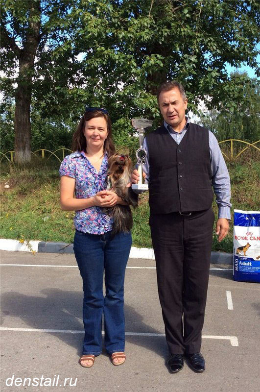 2014 г Результаты выставок. Питомник Йоркширских терьеров Дэнстайл в Санкт-Петербурге заводчик Тих