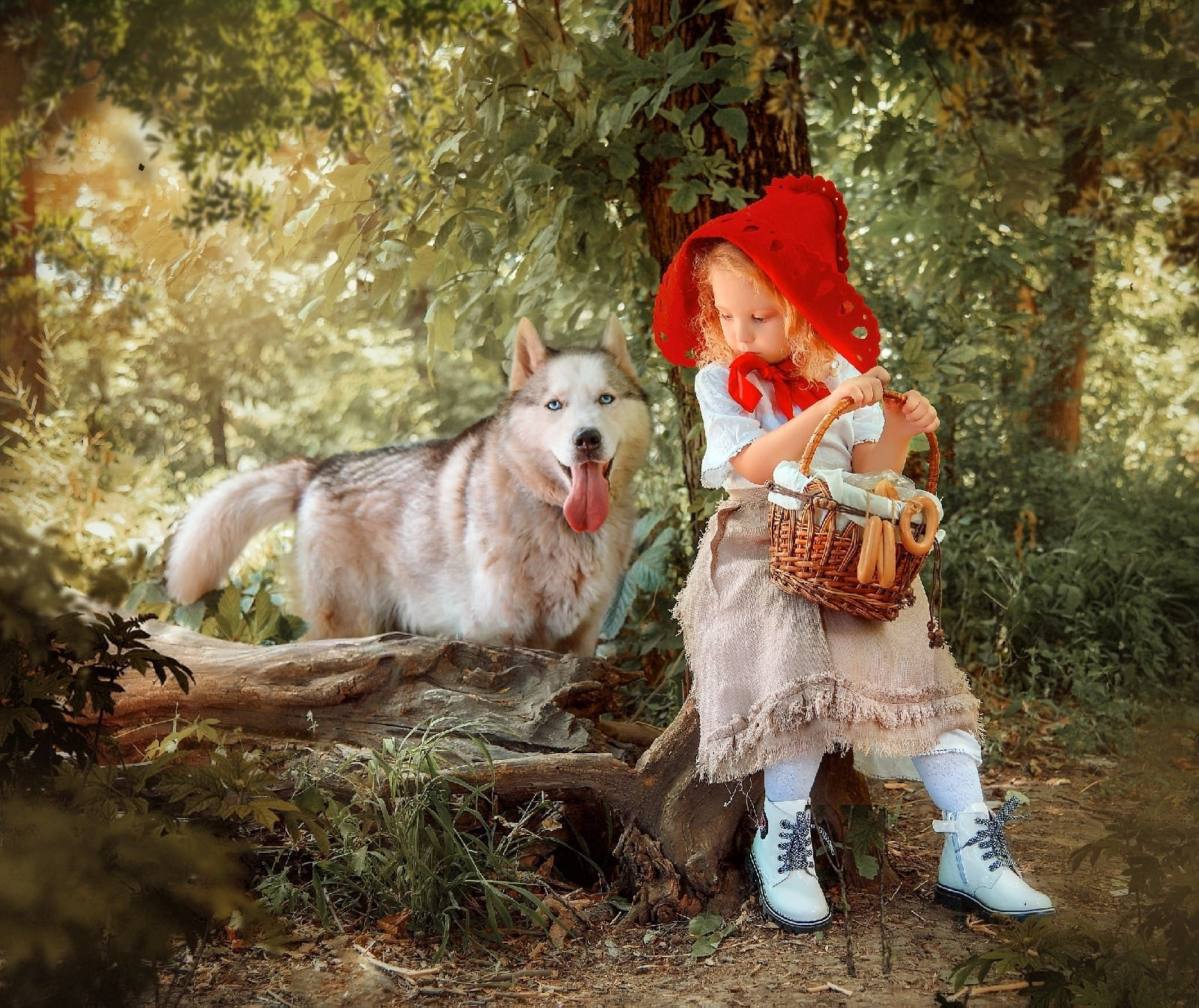 Социальные проекты. АНО «Центра социальных проектов «Путь в большой мир»