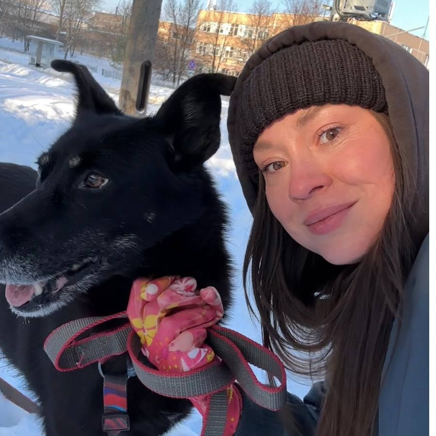 О нас. Забери домой друга