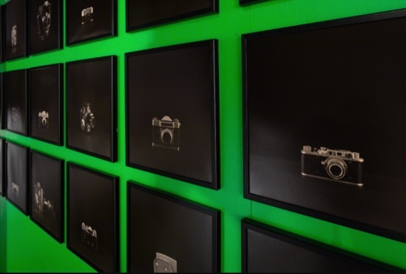 Arsenal. Anastasia Tsayder