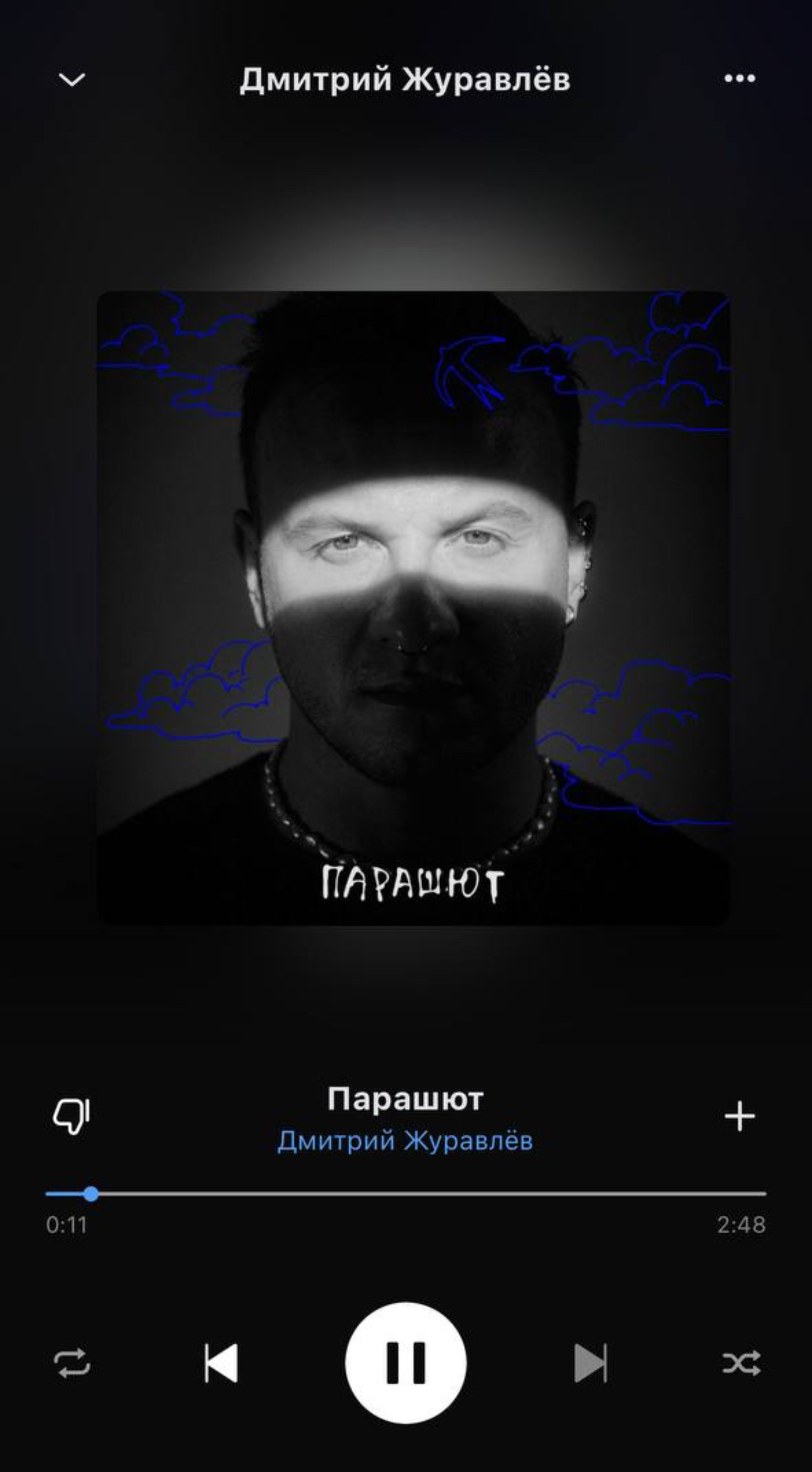 Dima spotlight (2024)