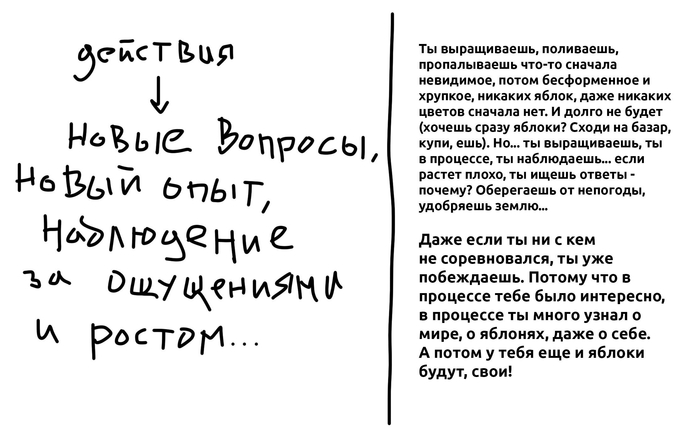 Среда 5. Форма. Структура кадра. …