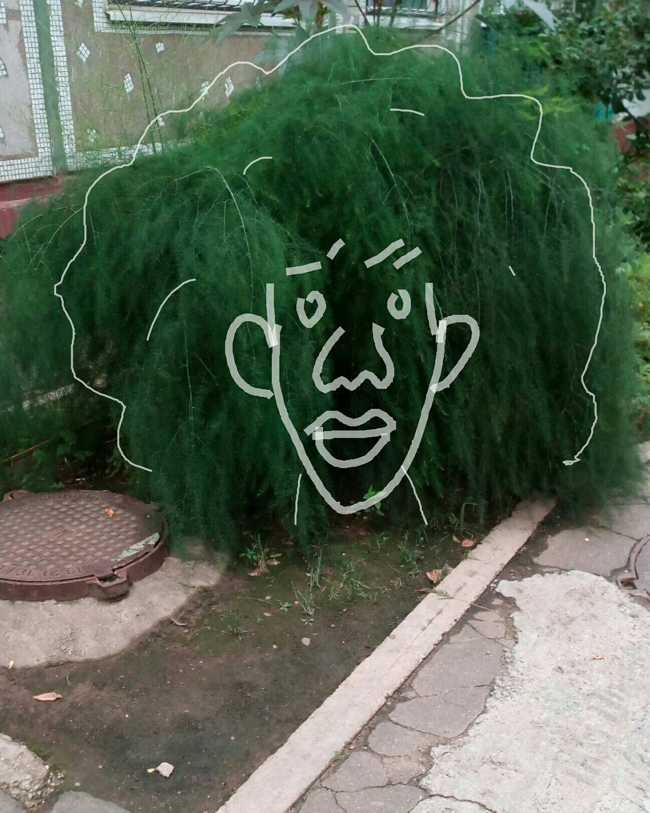 Дорисованнаяреальность. Художник Рыбак Николай