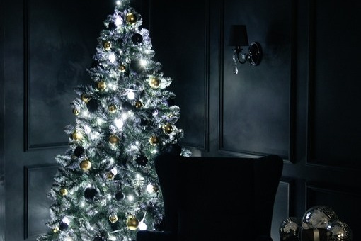 Фотостудии НН Сормово Московский. Фотограф Олеся Мочалова. Москва. Нижний Новгород