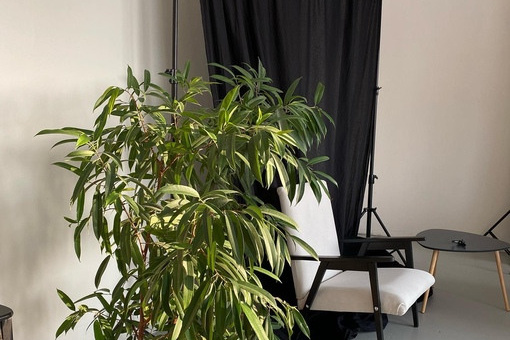 Фотостудии Нижний Новгород. Фотограф Sofya Art Нижний Новгород