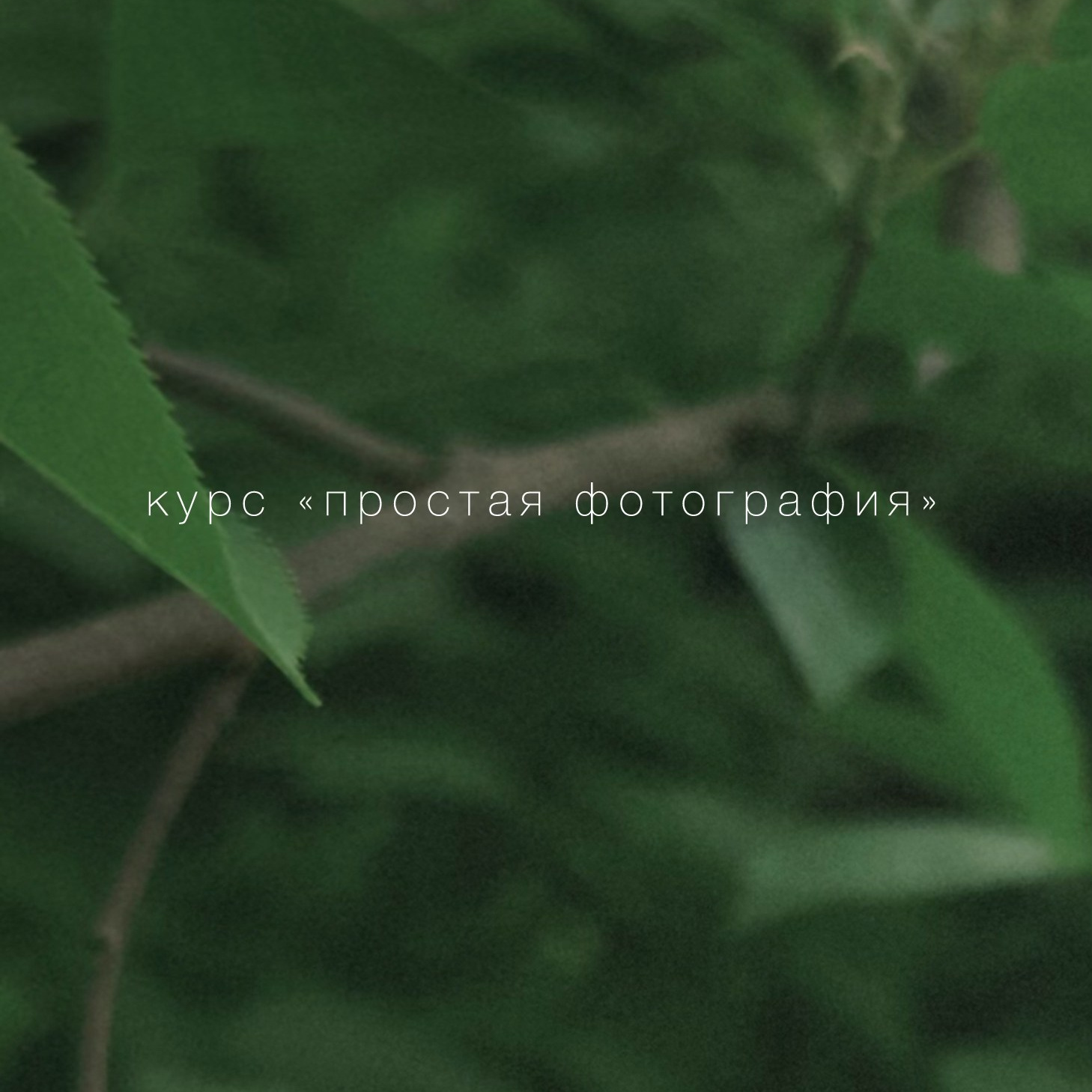 Курс «Простая фотография». Фотограф тюмень москва ксения половодова