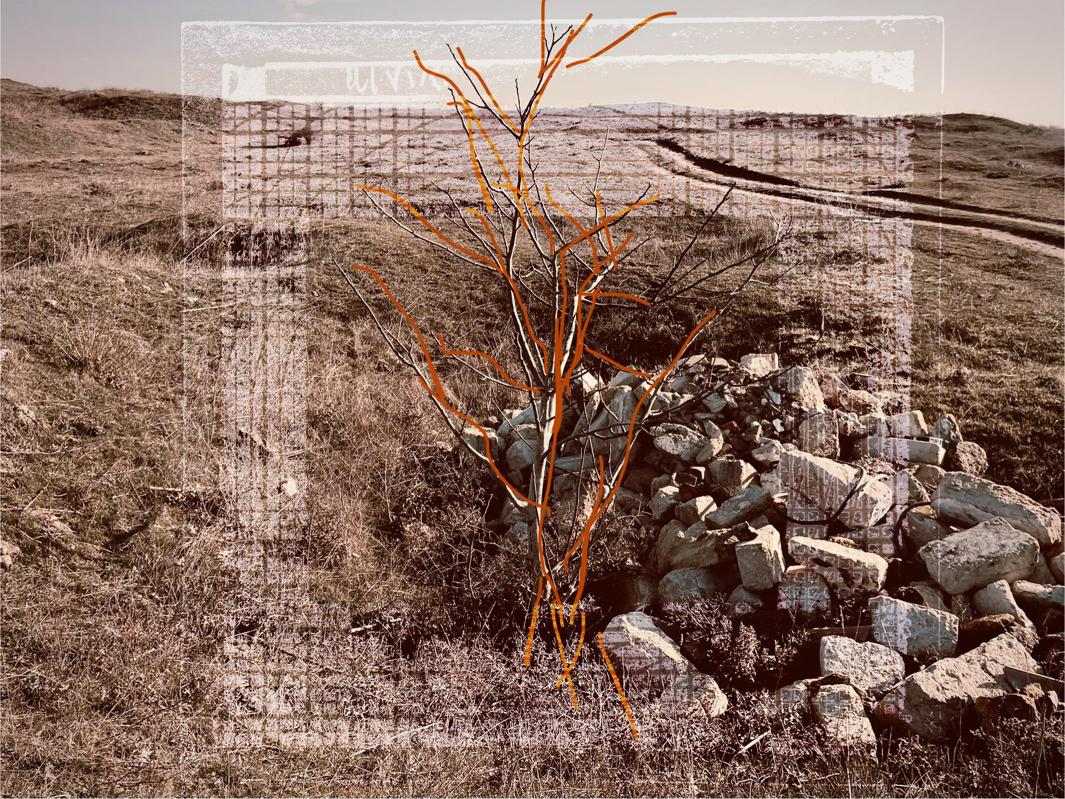 Силовые линии. Визуальный художник Лиана Даренская, Москва