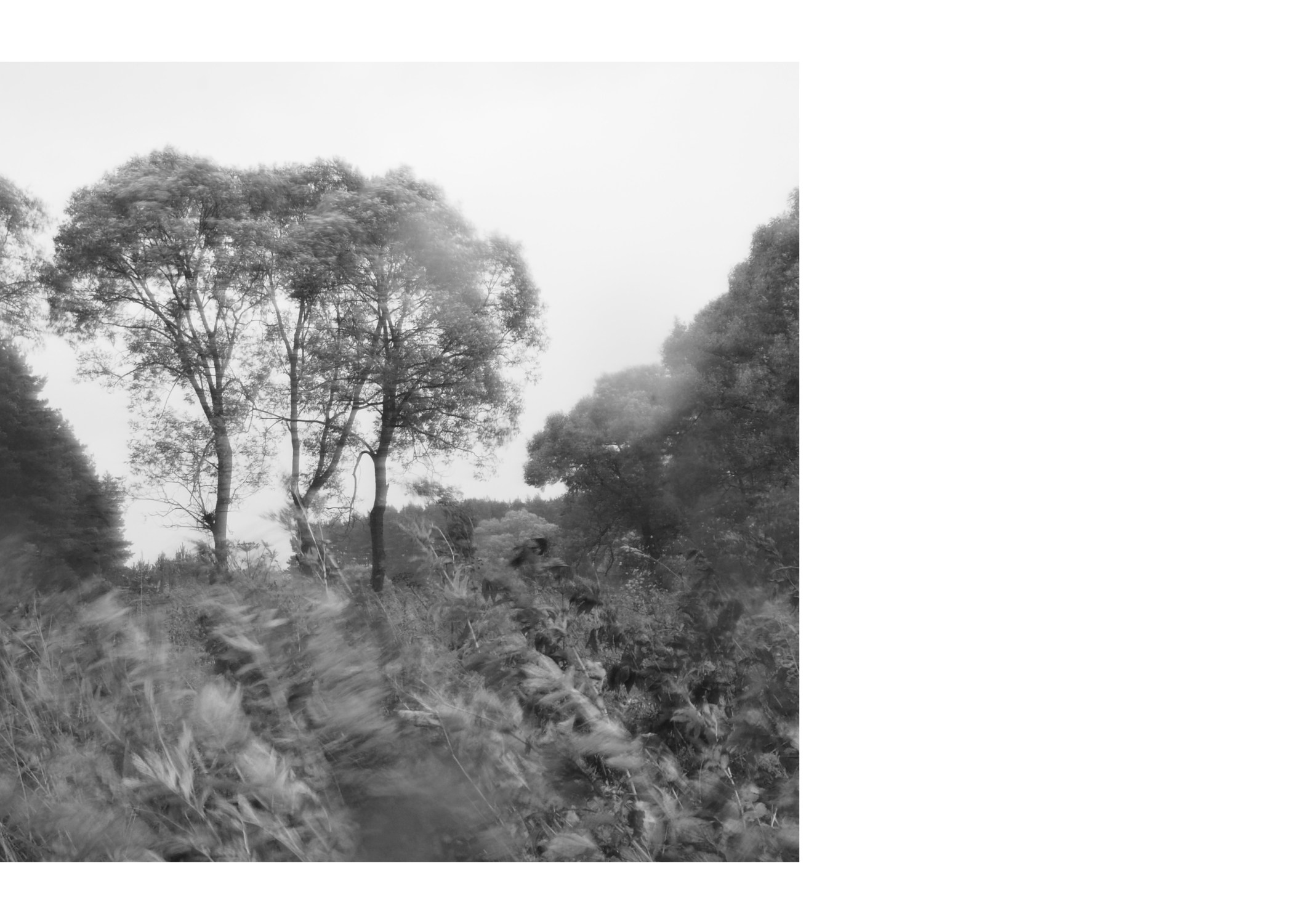 Горетово (2016-2022) — Избранные серии — Документальный фотограф Настя Сергеева