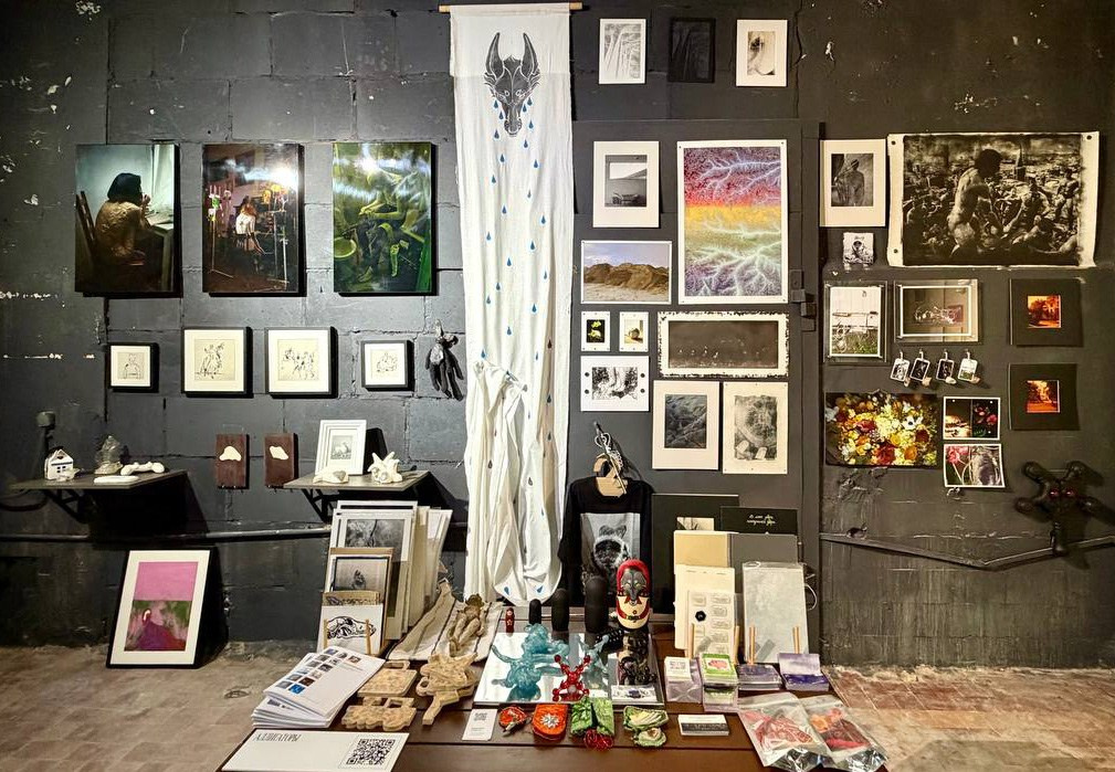 Аллигаторы. Елена Аносова — художница и исследовательница, куратор и лектор