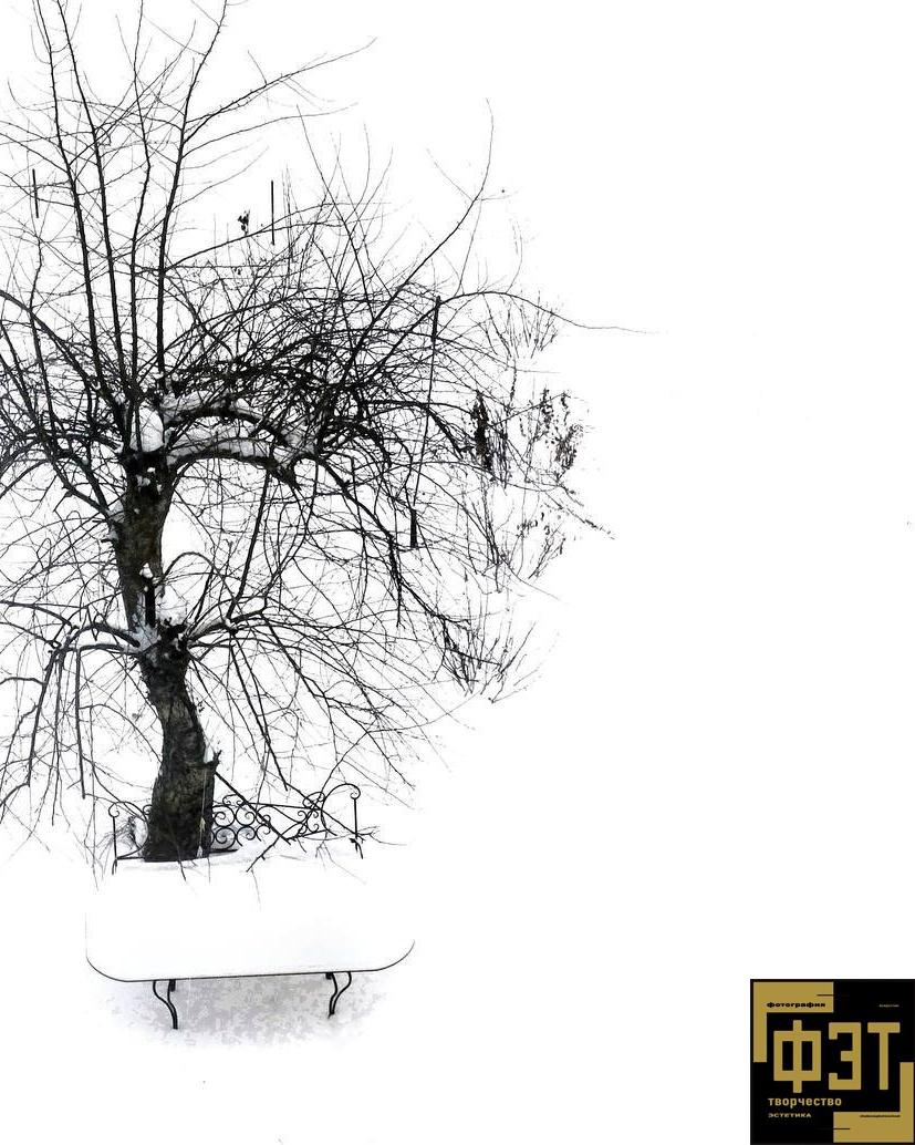 Наталья Переверзева