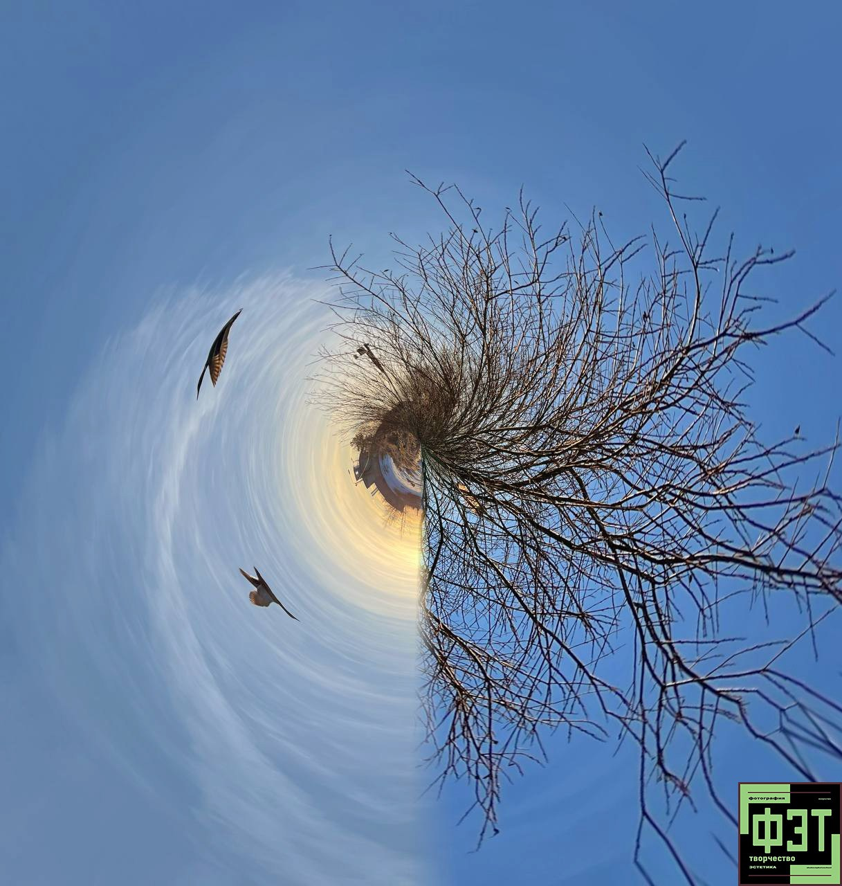 Альбом ФЭТ 03.05.26