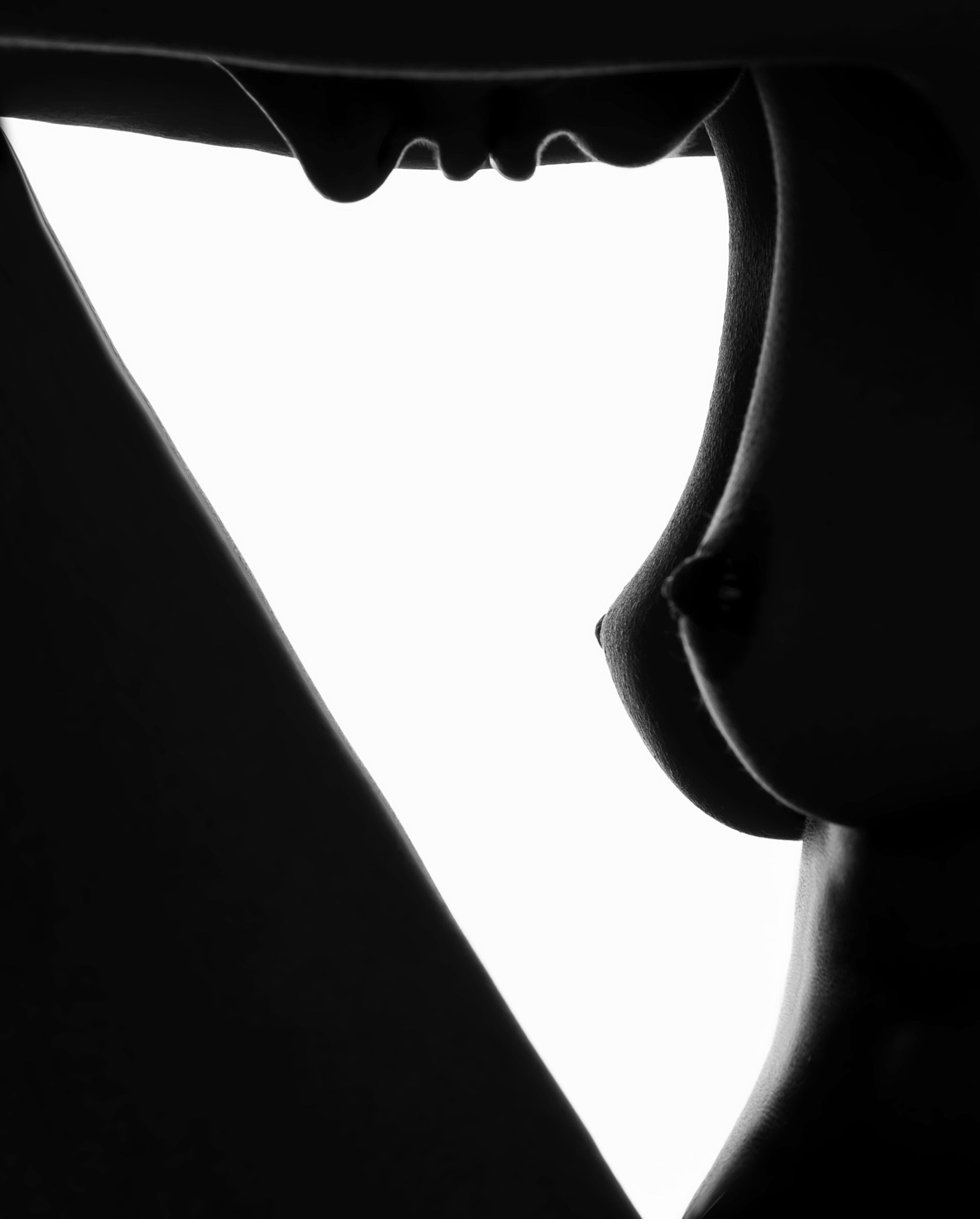 Portfolio Award 2025