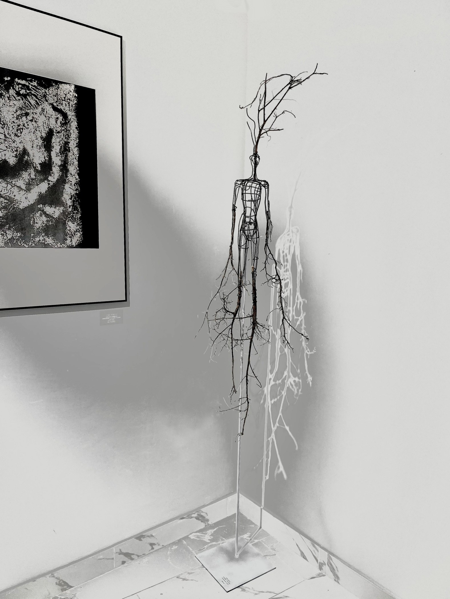 Проявления _2024. Художник — скульптор Антонина Фатхуллина