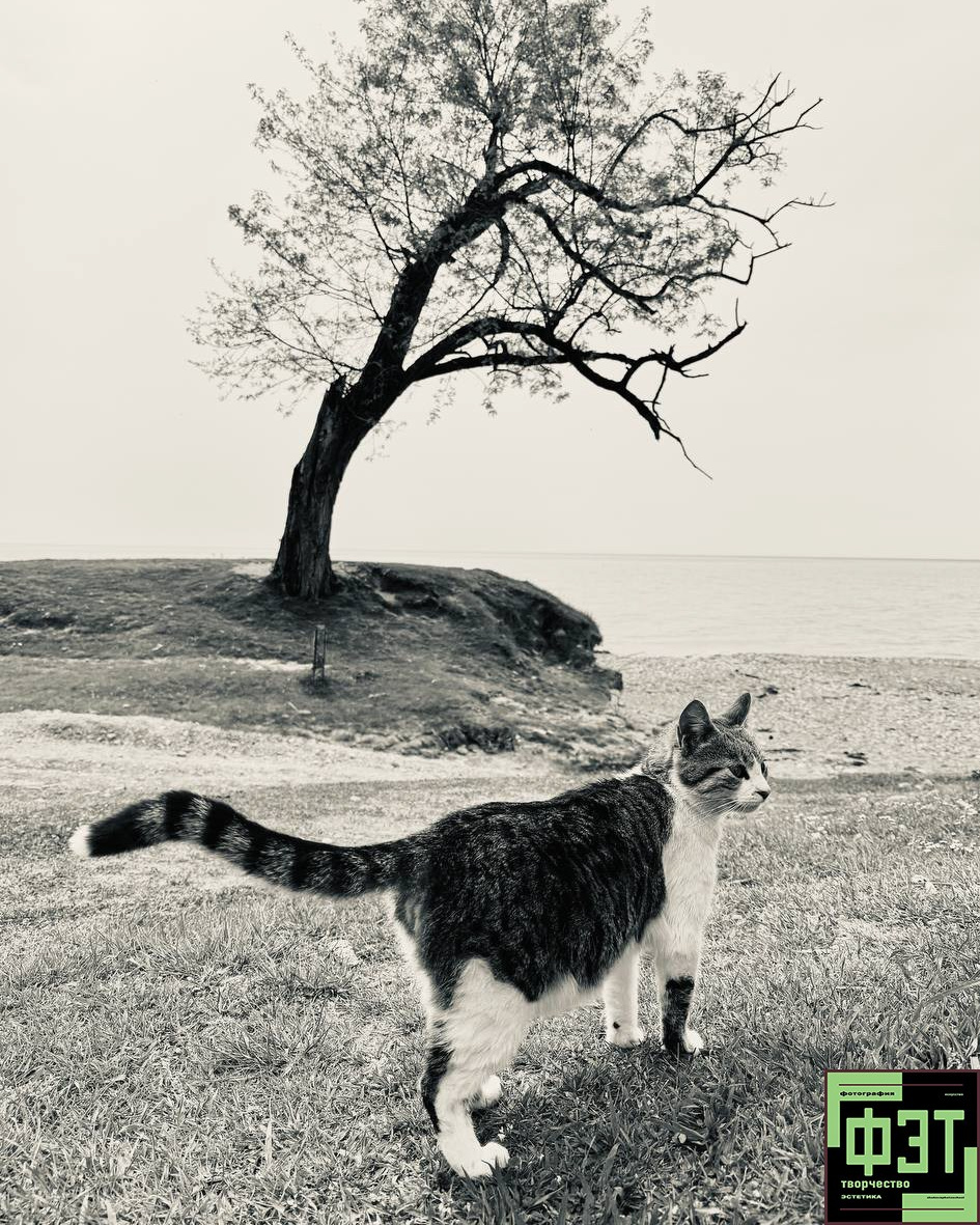 Альбом 19.04.26 в рамках проекта ФЭТ