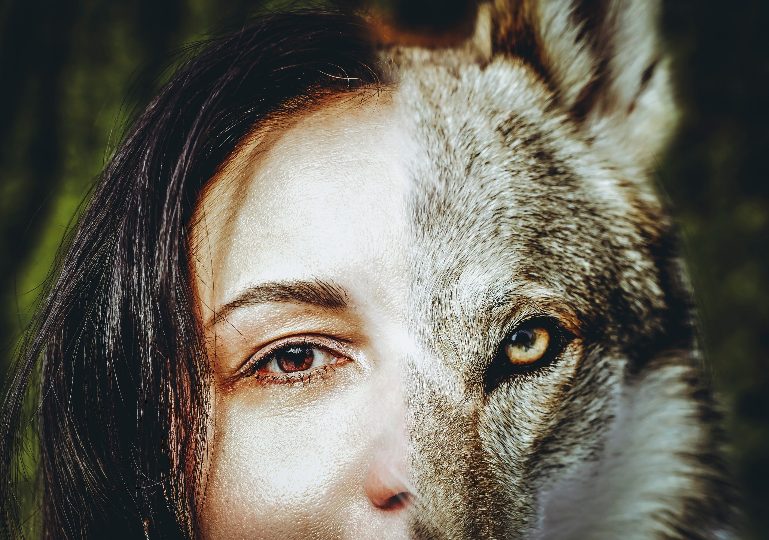 Витрина. Фотограф самых запоминающихся моментов Вашей жизни