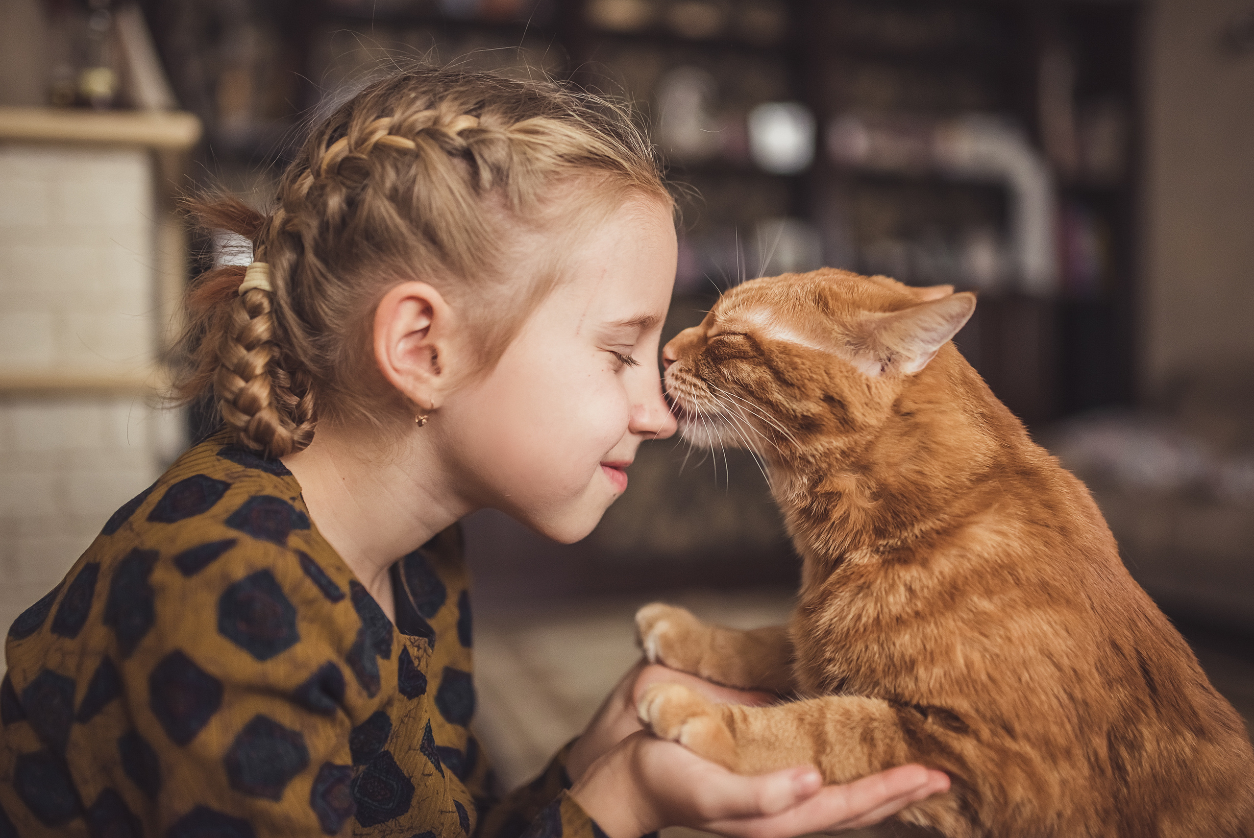 Домашняя съемка. Фотограф в Болгарии. Фотограф в Созополе