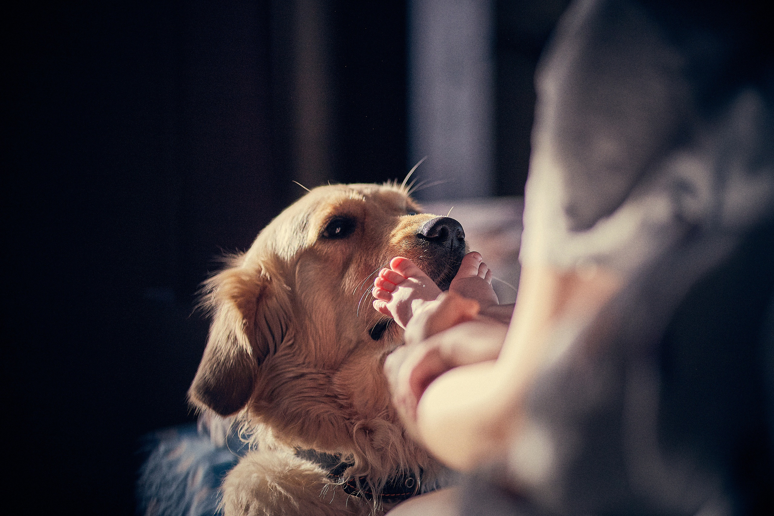 Услуги. Главная