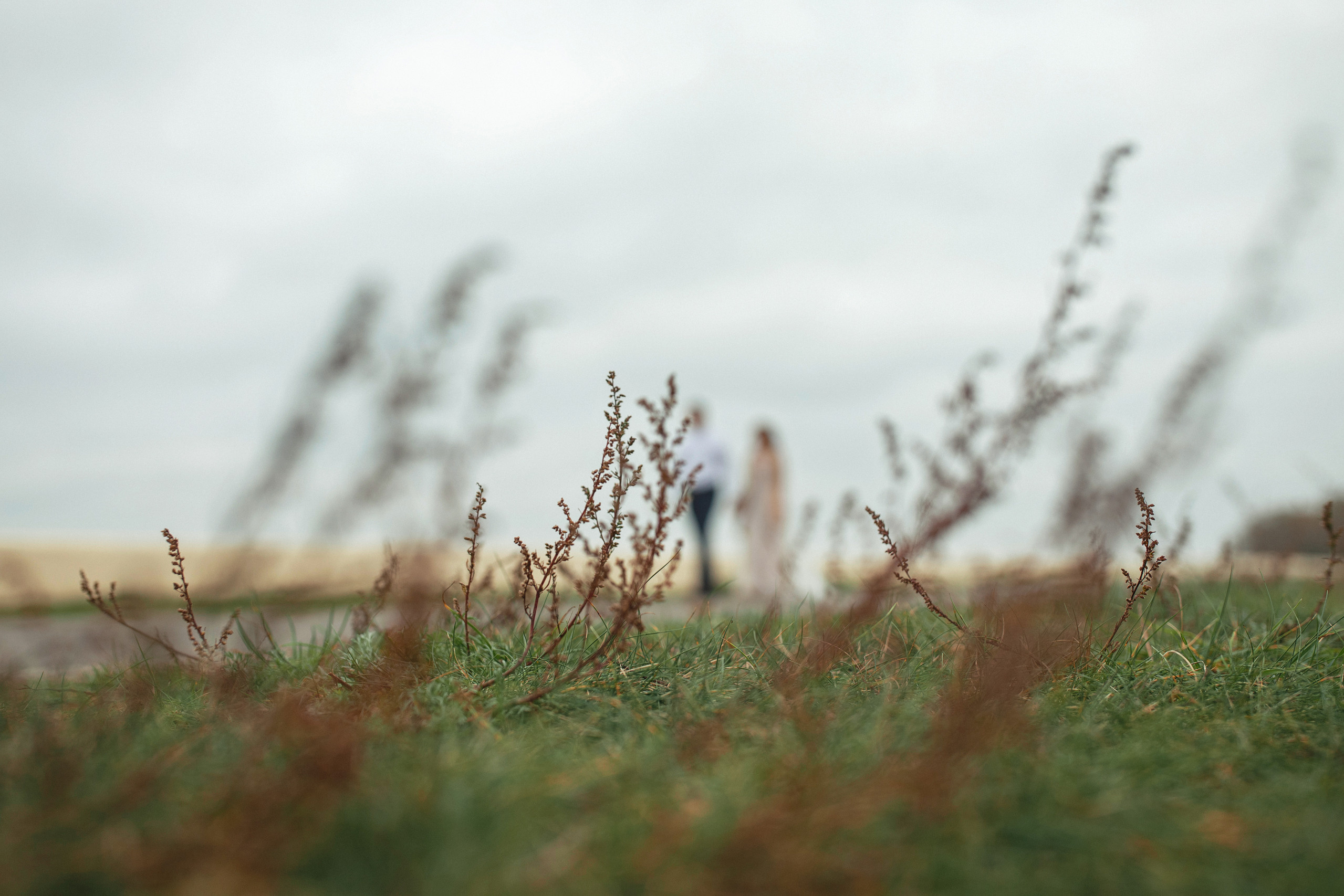 Свадебная прогулка красивой пары на берегу озера