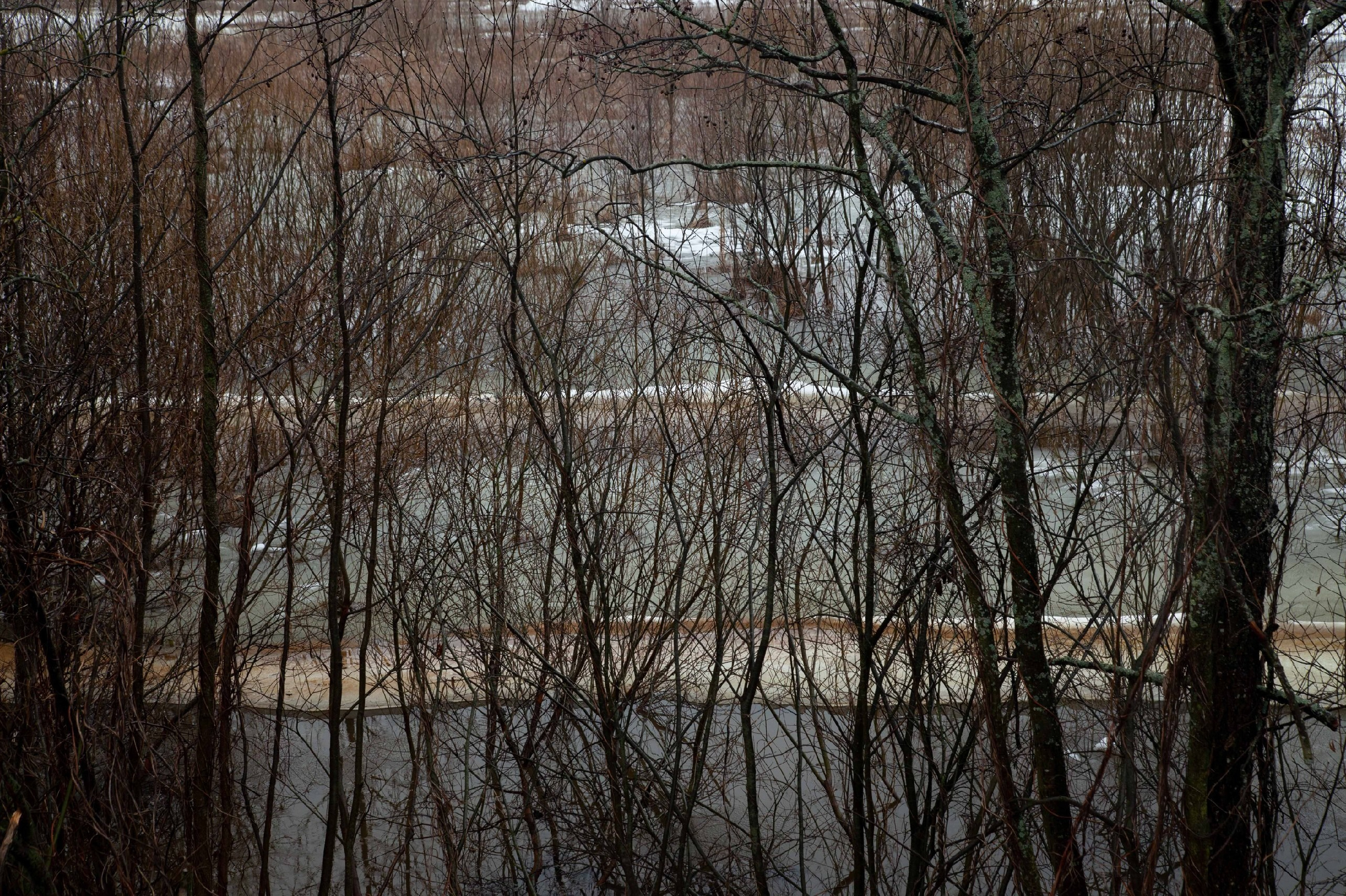 Contacts. Mogilevtseva Daria is a photographer and an interdisciplinary artist