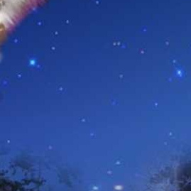 Новогоднее видеопоздравление. Фотограф Мальцева Евгения