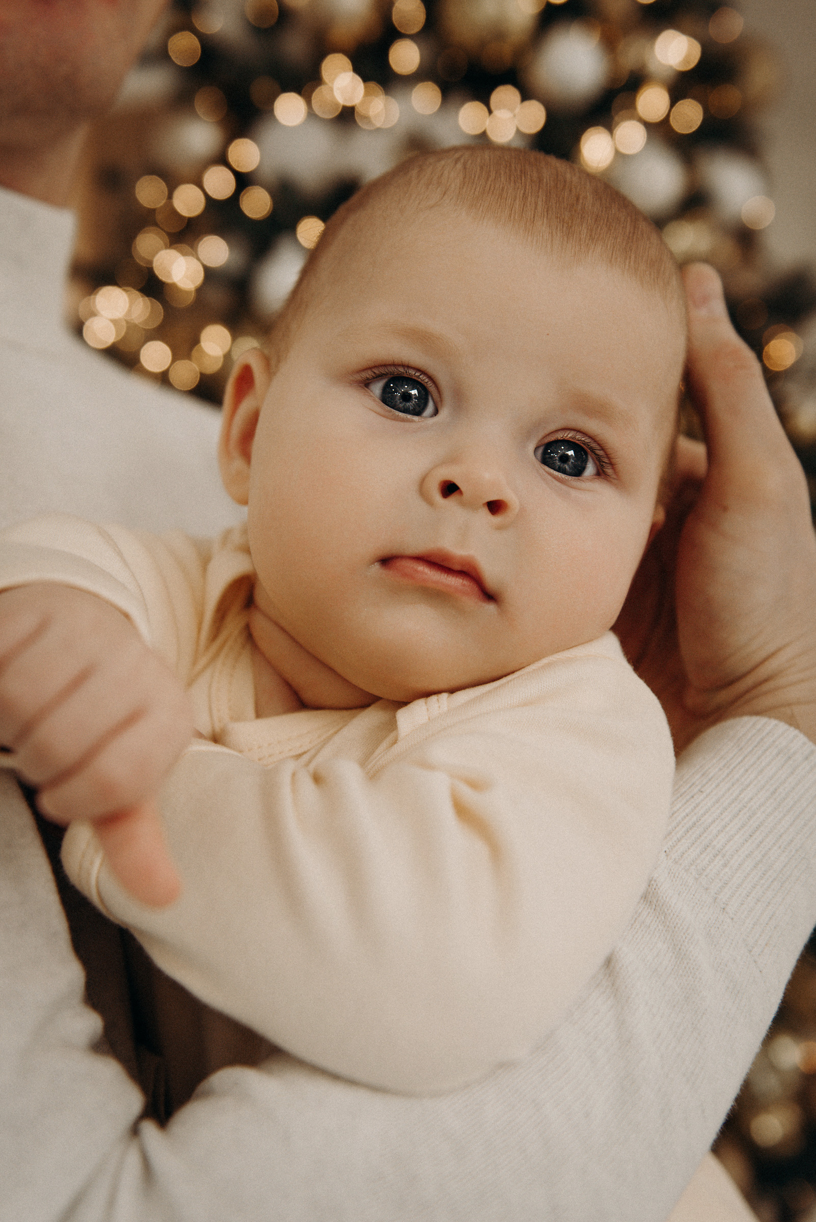 новогодняя фотосессия в студии в спб