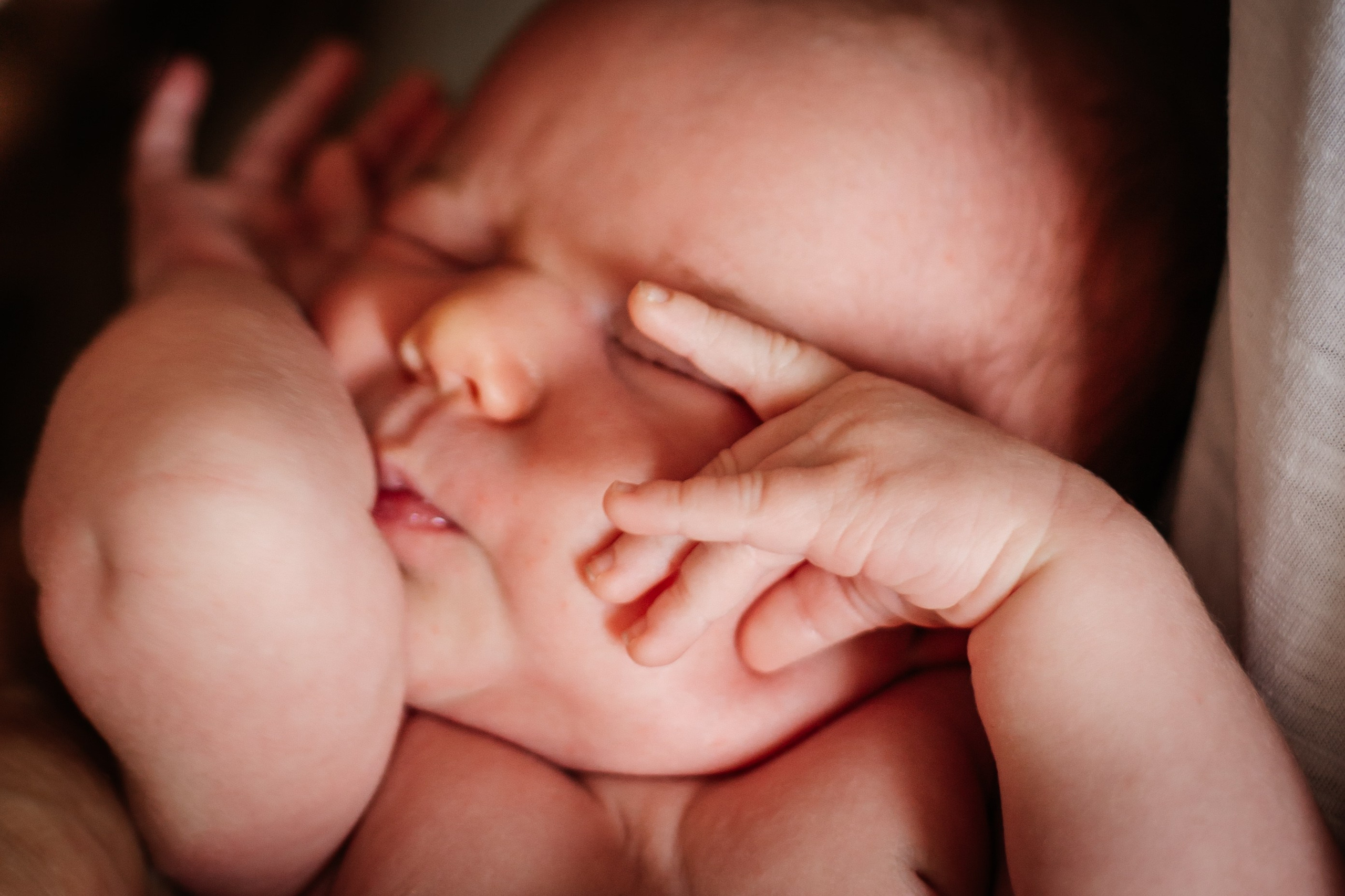 Услуги. Семейный фотограф Виктория Потехина Москва