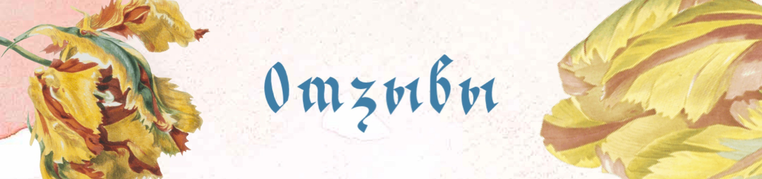 Королевы цвета. Алена Калистратова. Стилист, исследователь моды