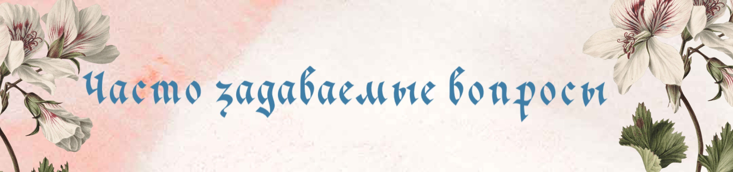 Королевы цвета. Алена Калистратова. Стилист, исследователь моды