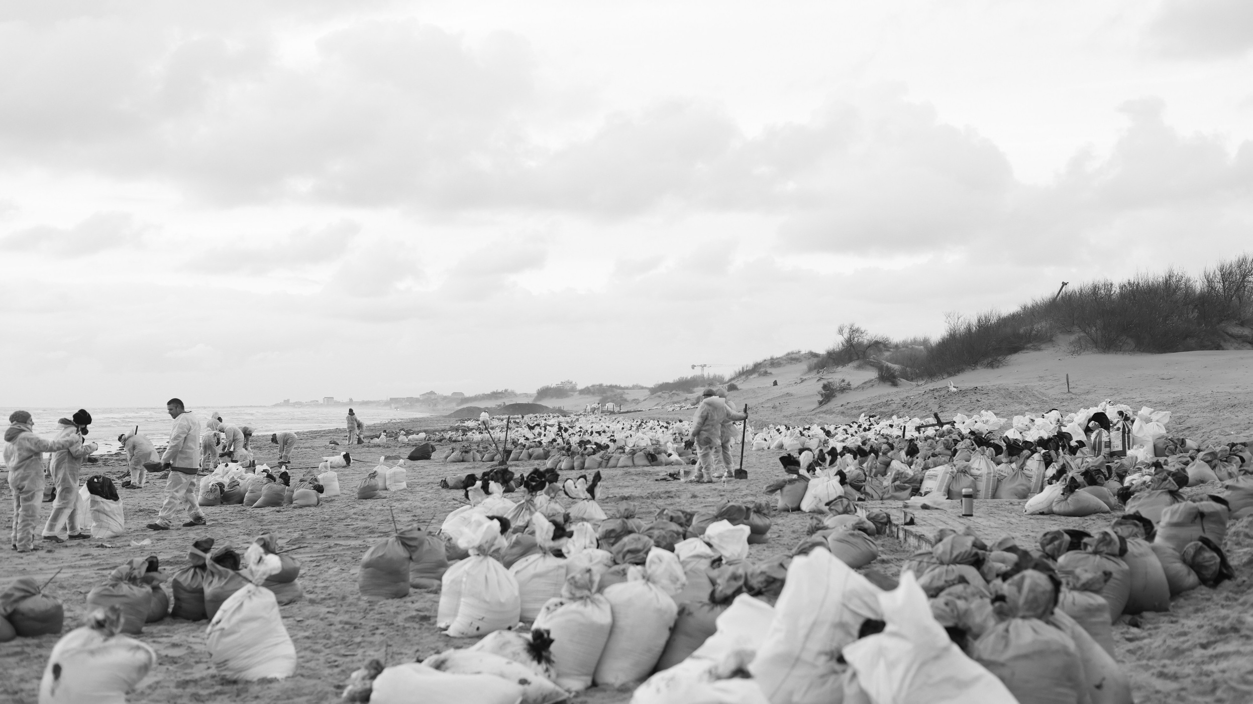 Свадебный фотограф в Москве и Петербурге Анастасия Лосева