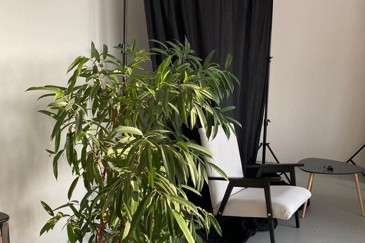 Список фотостудий Нижнего Новгорода. Сайты и цены. Фотограф Олеся Мочалова. Москва. Нижний Новгород