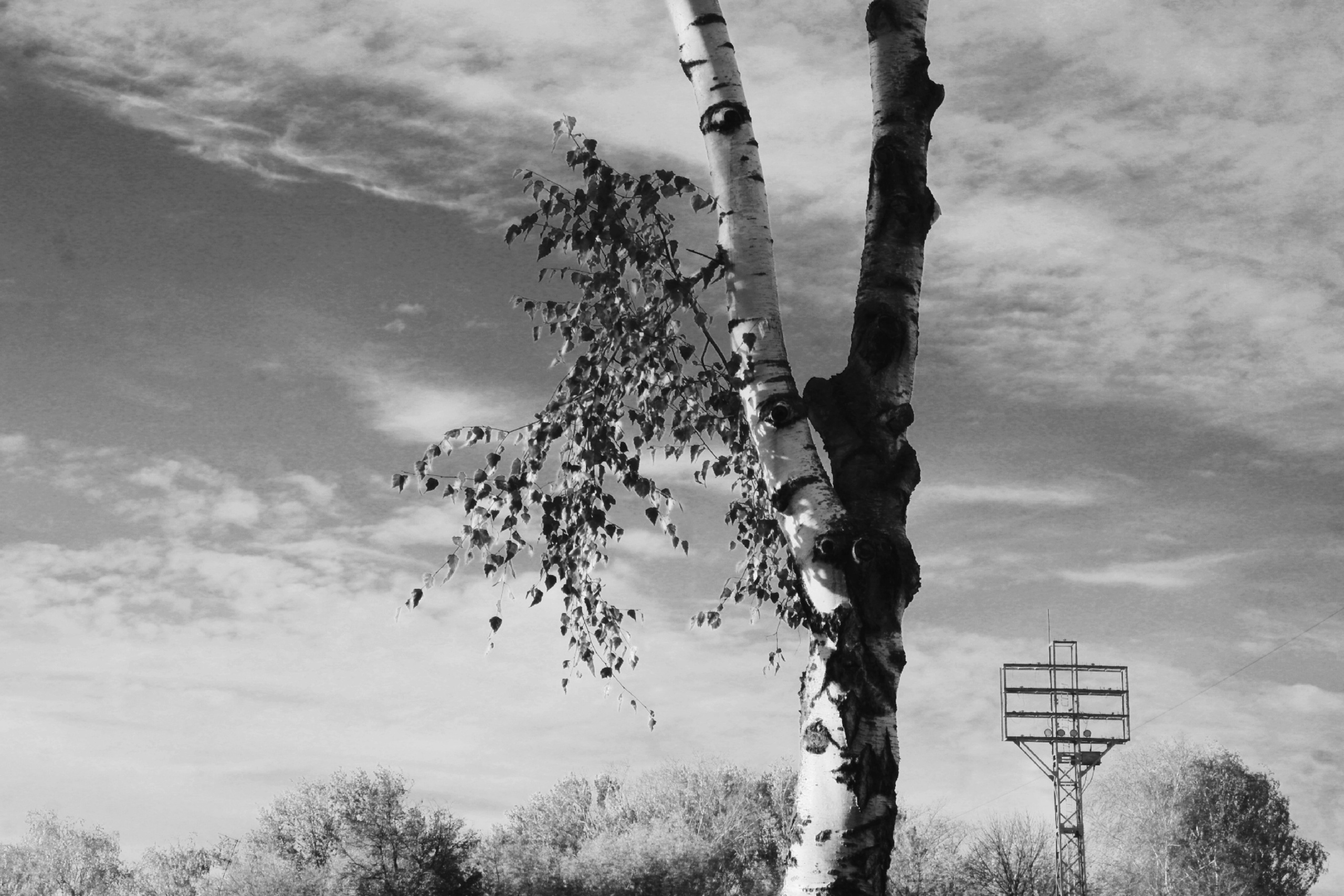 Стадион «Водник». Фотограф в Санкт-Петербурге и Нижнем Новгороде Яна Титова