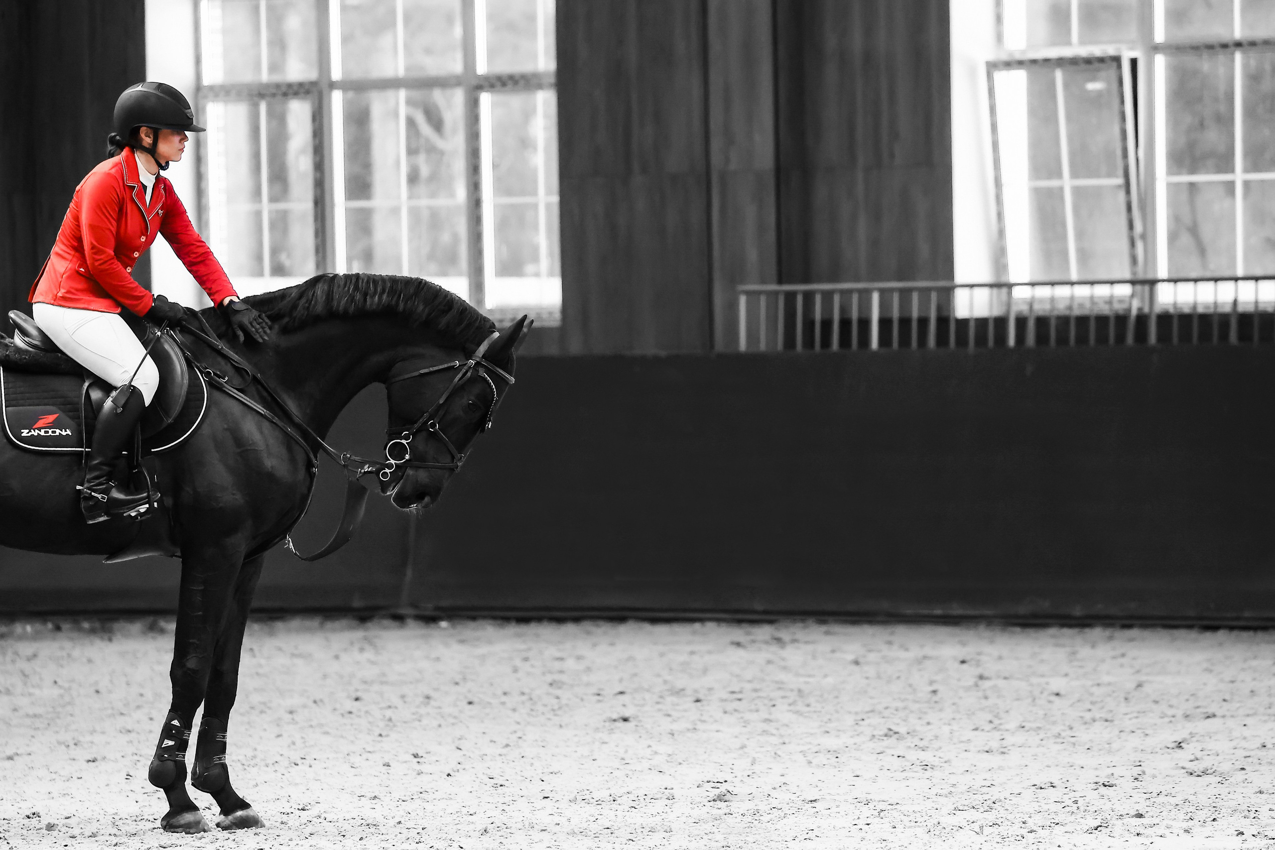 Конный фотограф Елена Дульцева