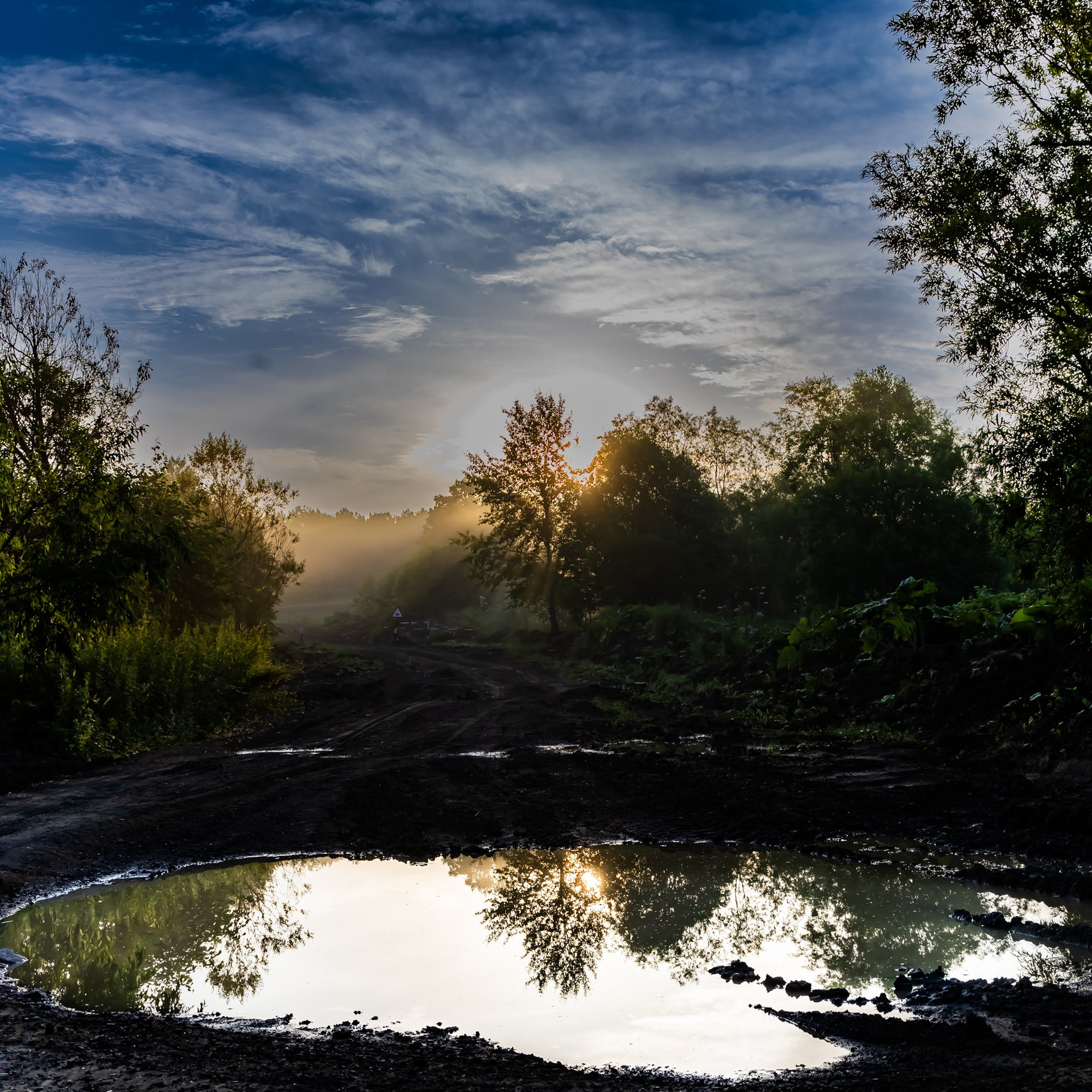 Свадебный, семейный и репортажный фотограф в Южно-Сахалинске Артур Петросян